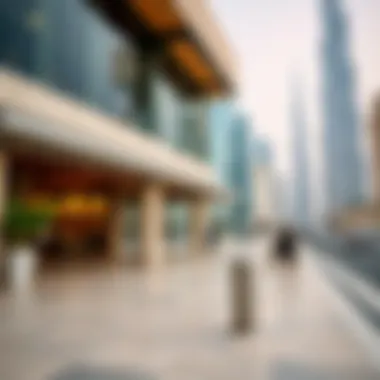 Magnificent Exploring Dubai: Free Experiences That Showcase the City's Charm