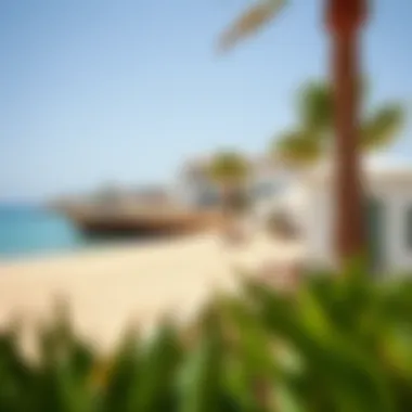Magnificent Exploring Nearby Beaches: An In-Depth Guide