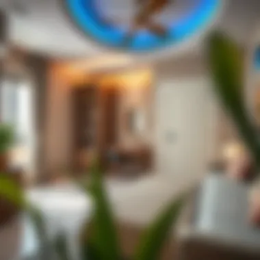 Magnificent Exploring Single Room Rentals in Al Rigga Magnificent Exploring Single Room Rentals in Al Rigga