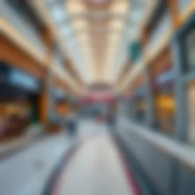 Magnificent Exploring Spinneys Mercato Mall: A Comprehensive Overview Magnificent Exploring Spinneys Mercato Mall: A Comprehensive Overview