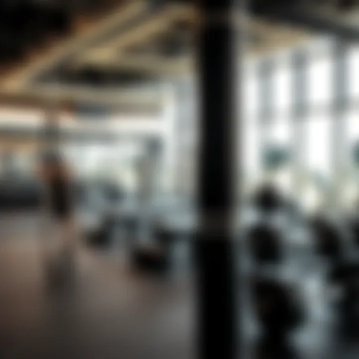 Magnificent Exploring the Dynamics of UFC Gym Business in Dubai: A Photographic Insight