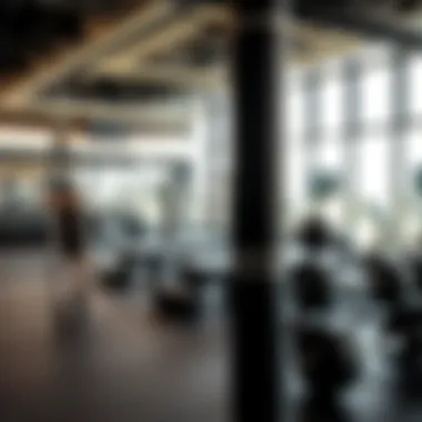 Magnificent Exploring the Dynamics of UFC Gym Business in Dubai: A Photographic Insight Magnificent Exploring the Dynamics of UFC Gym Business in Dubai: A Photographic Insight