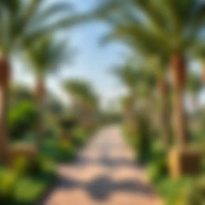 Magnificent Exploring the Nad Al Sheba Mini Forest: A Green Oasis in Dubai