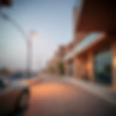 Magnificent Exploring the Neighborhood of Al Badaa in Mirdif