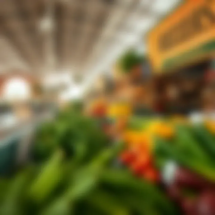 Exploring Dubai's Farmers Market: A Hub of Freshness and Community Summary