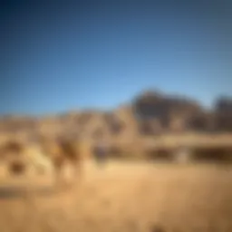 Exploring Jebel Jais Mountain: A Comprehensive Overview Introduction