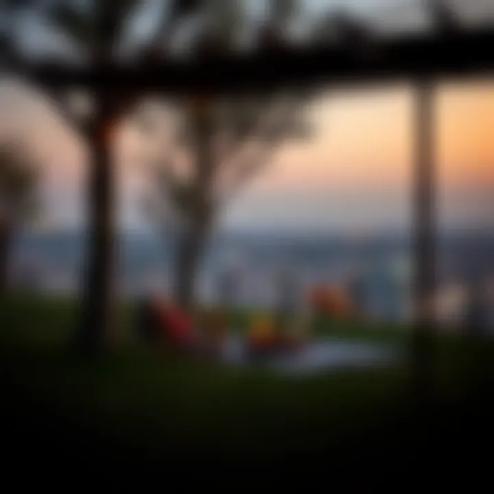 Notable Exploring Picnic Spots in the UAE
