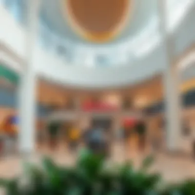 Exploring Spinneys Mercato Mall: A Comprehensive Overview Summary Exploring Spinneys Mercato Mall: A Comprehensive Overview Summary