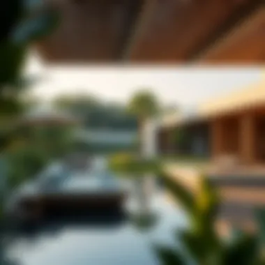 Notable Exploring the Anantara Mangroves: A Nexus of Nature and Luxury