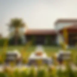 Exploring the Best Farmhouses in the UAE Introduction