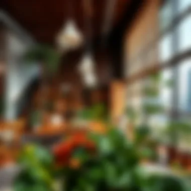 Notable Exploring the Best Nurseries in Dubai Notable Exploring the Best Nurseries in Dubai