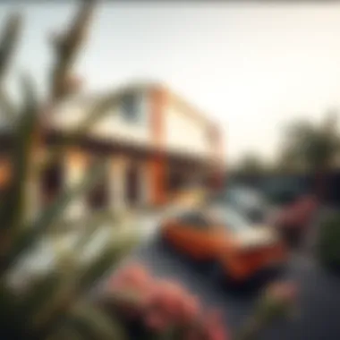 Exploring the Best Nurseries in Dubai Summary Exploring the Best Nurseries in Dubai Summary