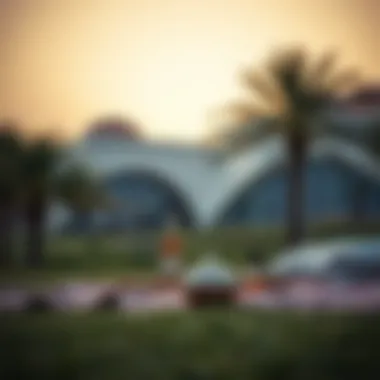 Notable Exploring the Best Picnic Spots in the UAE