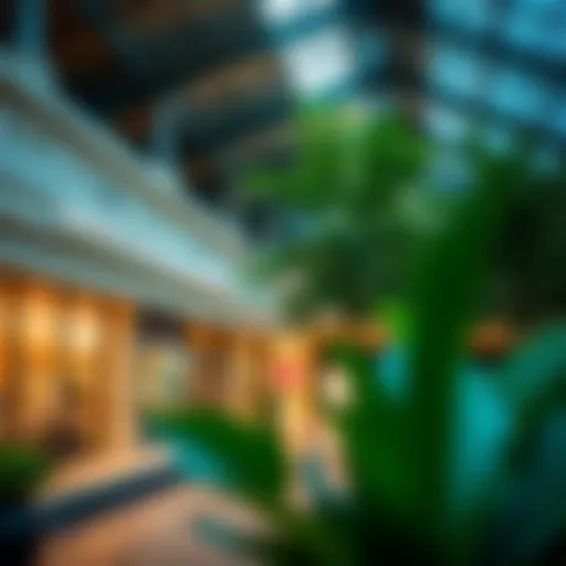 Exploring the Discovery Gardens Pavilion Shops: A Comprehensive Overview Introduction