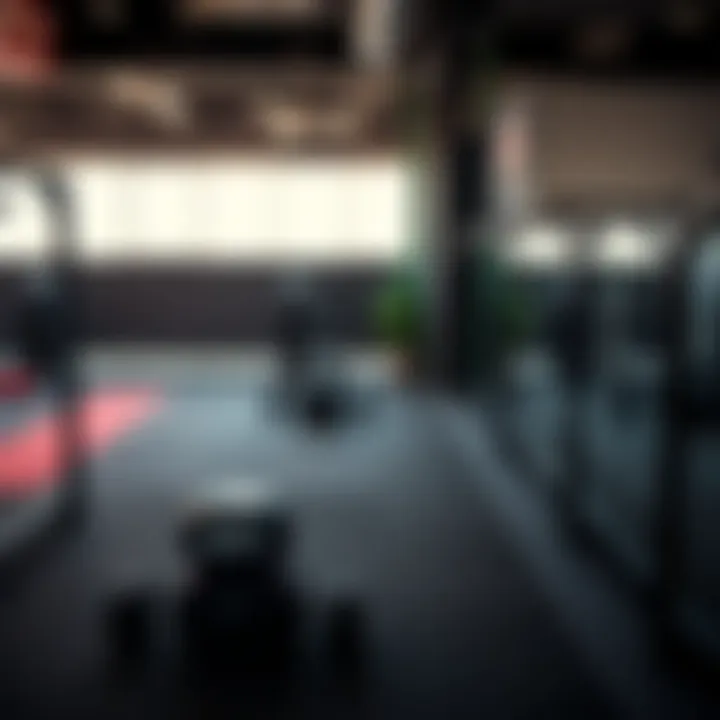 Notable Exploring the Dynamics of UFC Gym Business in Dubai: A Photographic Insight