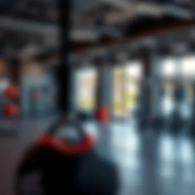 Exploring the Dynamics of UFC Gym Business in Dubai: A Photographic Insight Summary