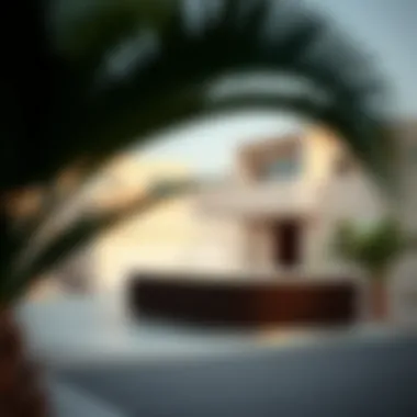 Notable Exploring the Neighborhood of Al Badaa in Mirdif