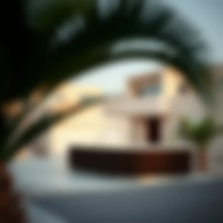 Notable Exploring the Neighborhood of Al Badaa in Mirdif