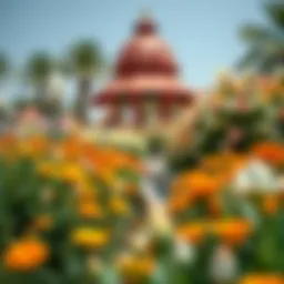 Vibrant flowers in Dubai Miracle Garden