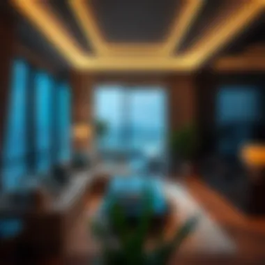 The Insights of Nasemat Living in Dubai Summary