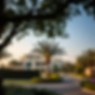 Notable The Symbiosis of Trees and Residences in Dubai