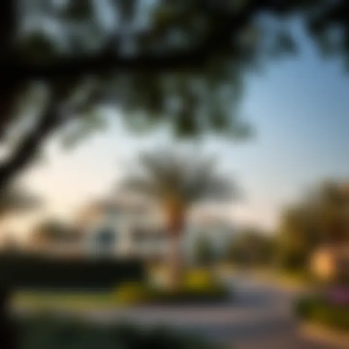 Notable The Symbiosis of Trees and Residences in Dubai