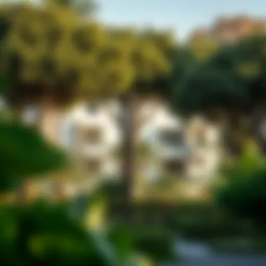 The Symbiosis of Trees and Residences in Dubai Summary
